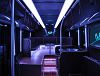 Party bus rental for your own party